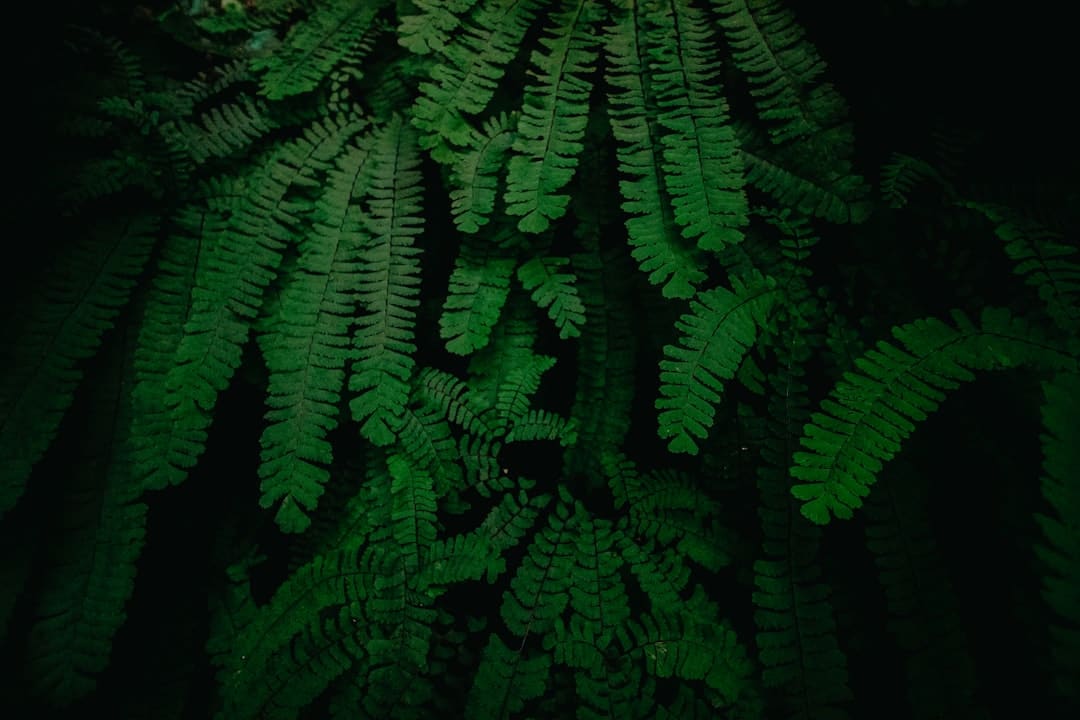 暑期大剧盘点：《幻城》《半妖倾城》《超少年暗码》